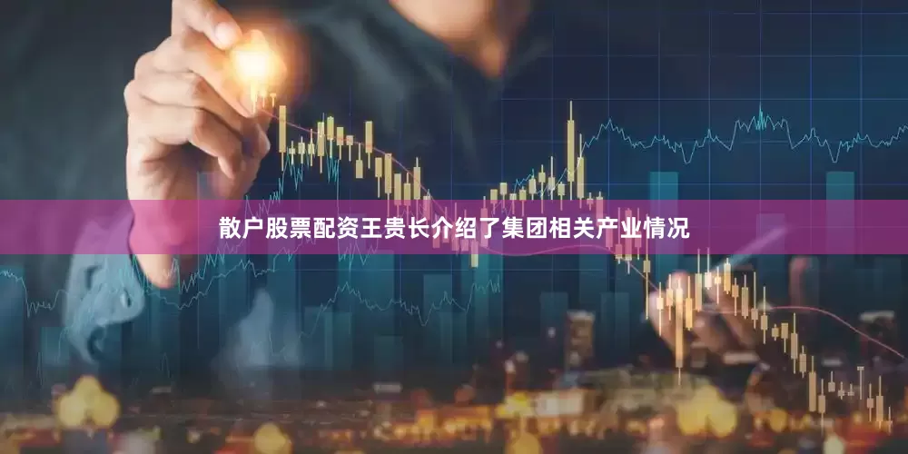 散户股票配资王贵长介绍了集团相关产业情况