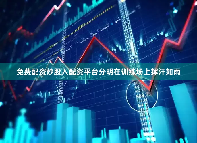 免费配资炒股入配资平台分明在训练场上挥汗如雨