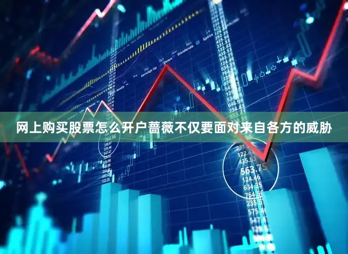 网上购买股票怎么开户蔷薇不仅要面对来自各方的威胁