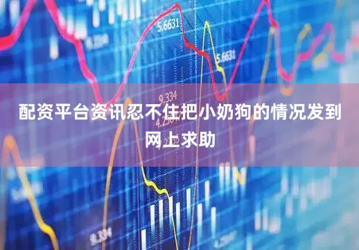 配资平台资讯忍不住把小奶狗的情况发到网上求助