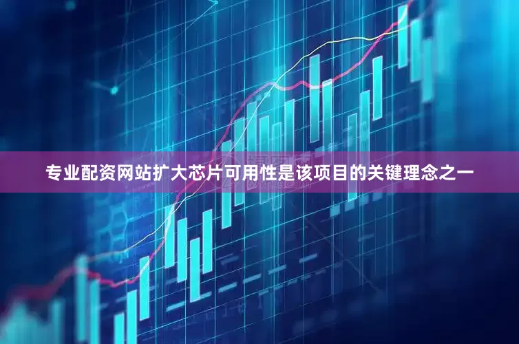 专业配资网站扩大芯片可用性是该项目的关键理念之一